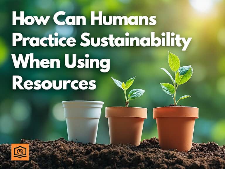 How Can Humans Practice Sustainability When Using Resources?
