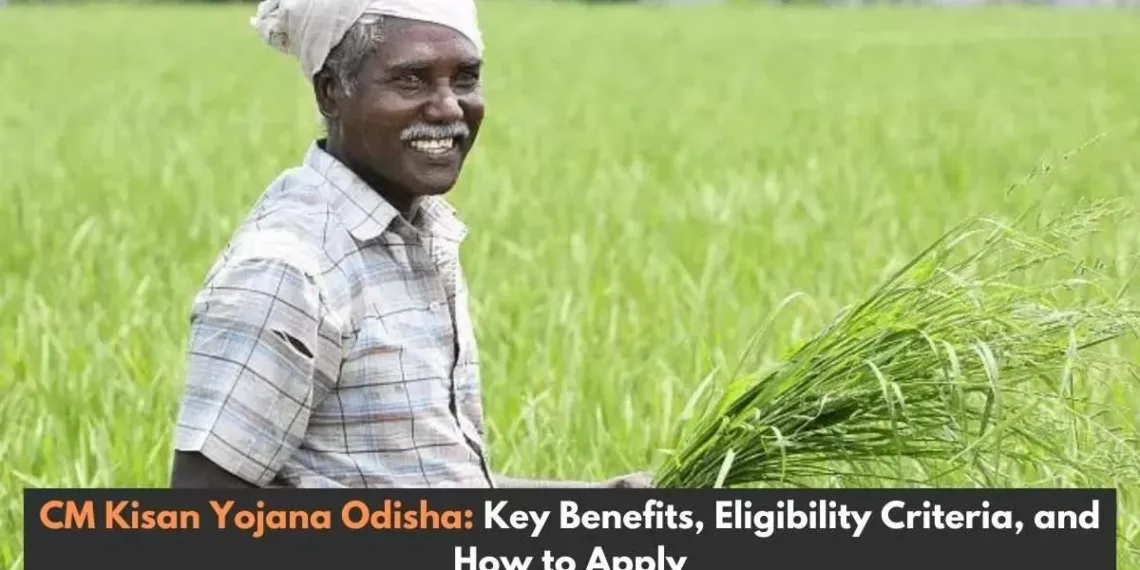 CM KISAN Yojana Portal: Know every details for Odisha's Farmers