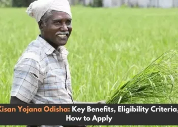 CM KISAN Yojana Portal: Know every details for Odisha's Farmers