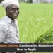 CM KISAN Yojana Portal: Know every details for Odisha's Farmers