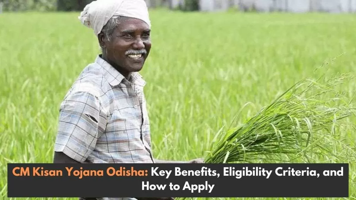 CM KISAN Yojana Portal: Know every details for Odisha's Farmers