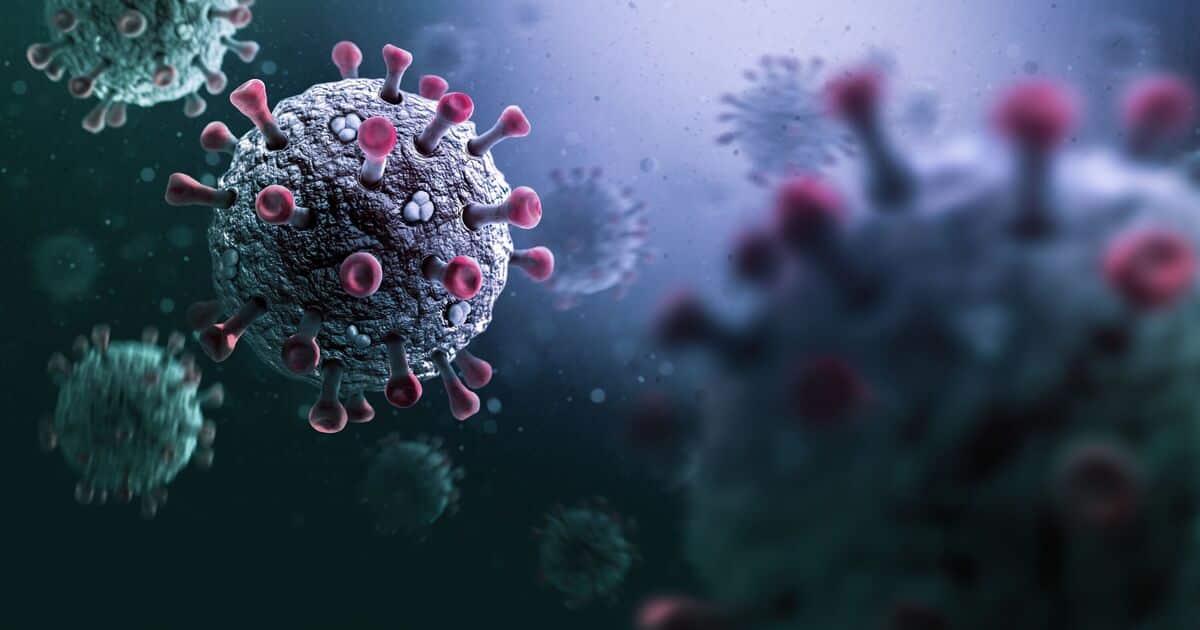 Covid XEC Variant: Key Symptoms of the New Covid Variant and How to take Precautions