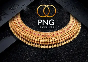 PN Gadgil IPO Allotment Status 2024: Step-by-Step Guide and Key Details