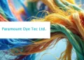 Paramount Dye Tec IPO 2024: Everything You Need to Know