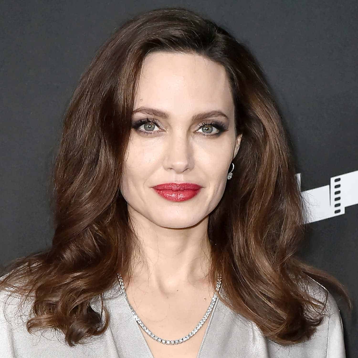 Beautiful Angelina Jolie Age, Height, Weight, Net Worth, and Family in 2025