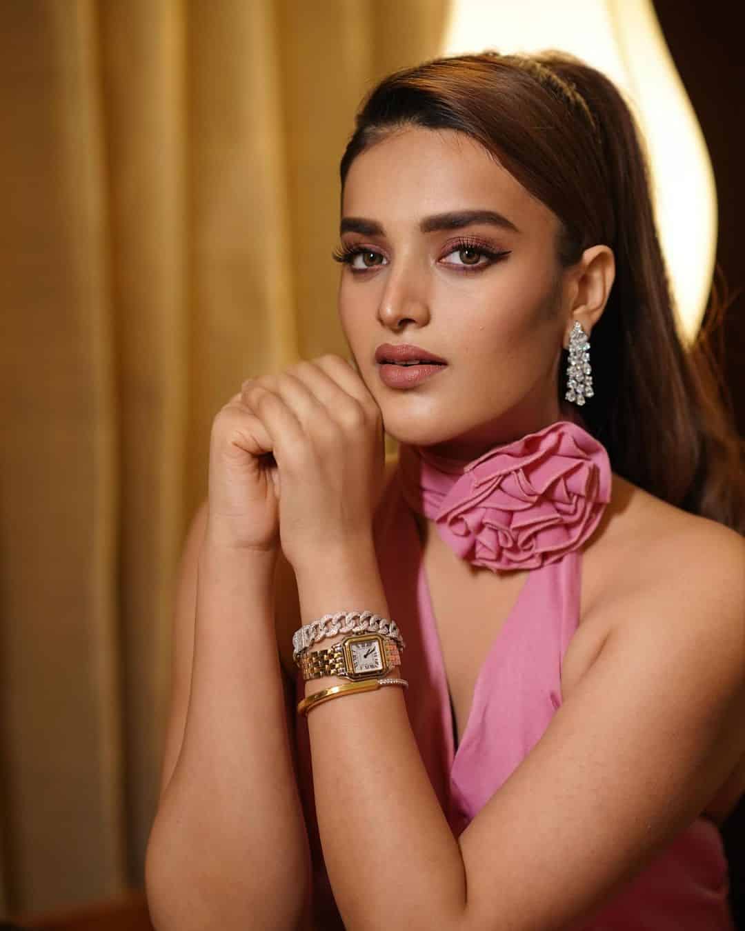 Magnificent Nidhhi Agerwal Age, Height, Bio, Career, Net Worth, and More in 2025