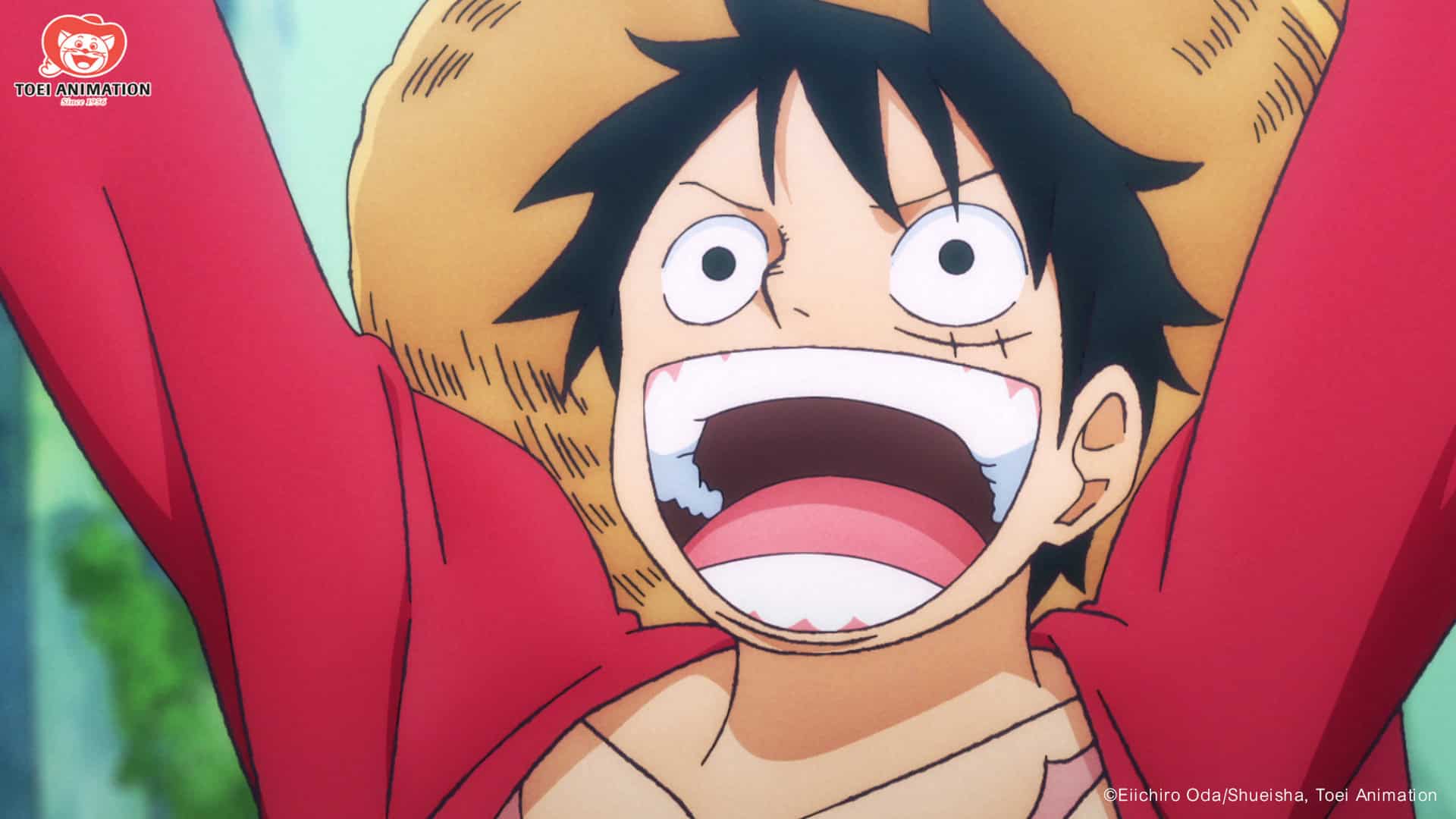 Toei Animation Announces One Piece Hiatus, New Content, and 25th Anniversary Episode