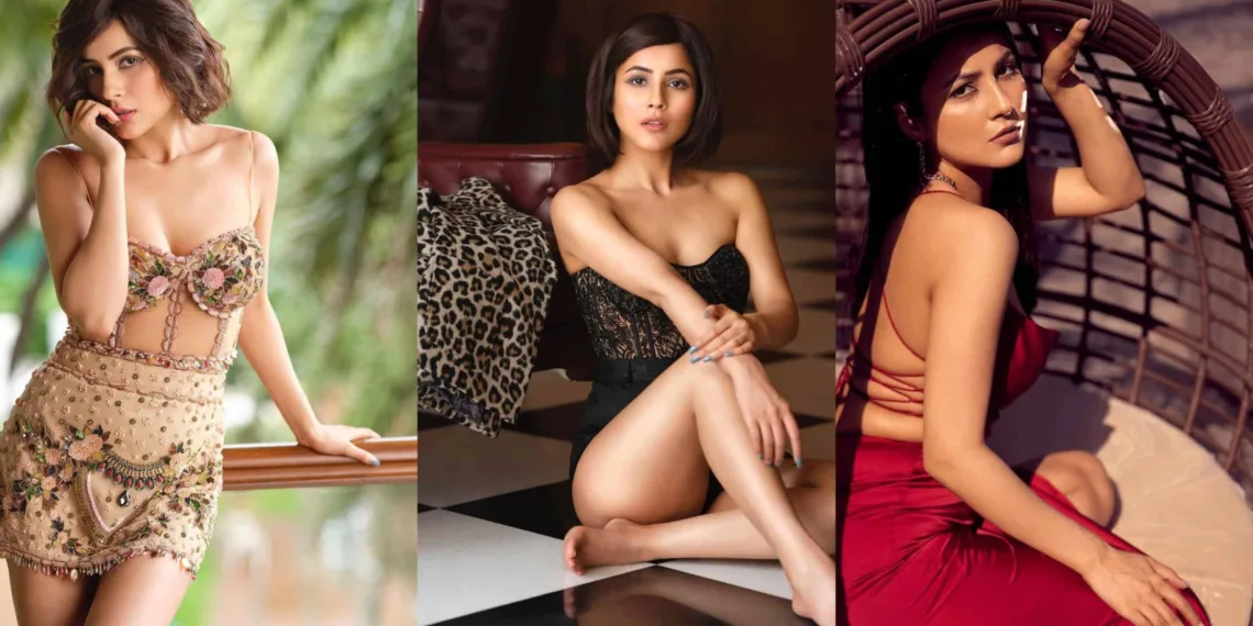 Shehnaaz Gill Photos