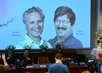 US Scientists Victor Ambros and Gary Ruvkun Win the Nobel Prize 2024 for their MicroRNA Research
