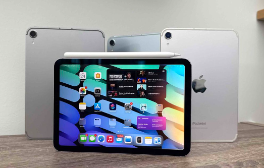 iPad Mini 8