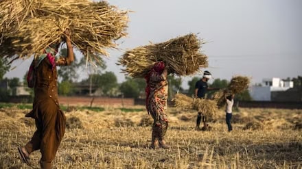 pmmmu7 Good News for Farmers: The PM Kisan scheme's next installment is scheduled for tomorrow