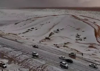 🌨️ Snowfall Saudi Arabia: Saudi Desert Sees Snow for the First Time Ever!