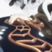 Crunchyroll Revives Solo Leveling with Exciting English-Subbed Trailer!