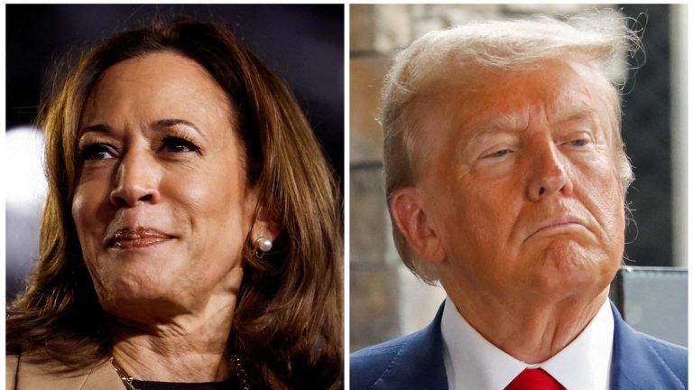 Swing State Showdown: Trump Takes a Narrow Lead