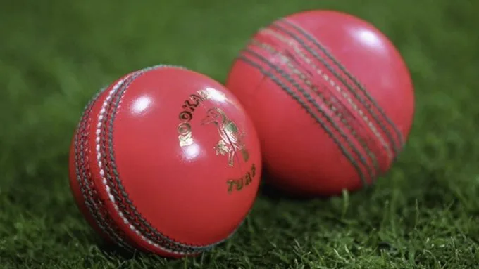 image 1380 png India vs Australia Pink Ball Test: Can India Conquer Adelaide?