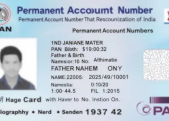 PAN 2.0 Project: Everything You Need to Know About