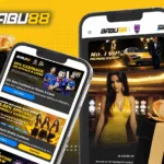 Babu88 India – 2025 Review for Indian Players
