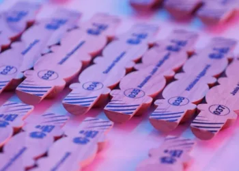 WPL 2025 Player Auction