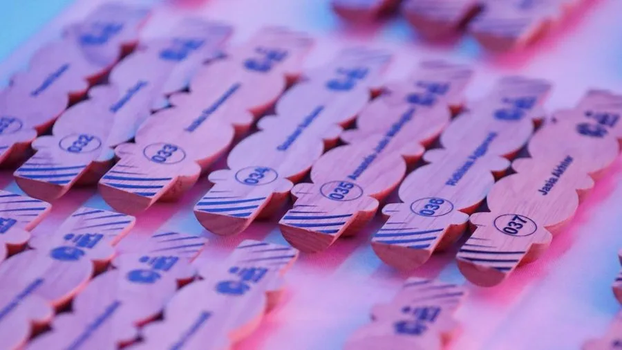 WPL 2025 Player Auction