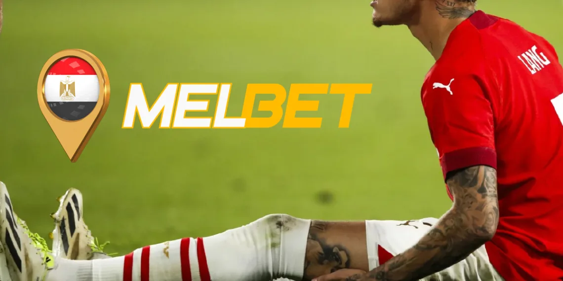 The Hidden World of Sports Medicine: How Athletes Recover Faster and Stay at the Top