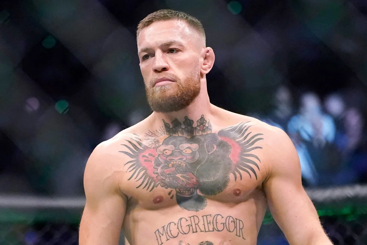 Conor McGregor Net Worth in 2025: All You Need to Know