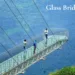 Glass Bridge Ticket Counter Rajgir Tickets: How to Book Rajgir Glass Bridge Tickets in 2025?