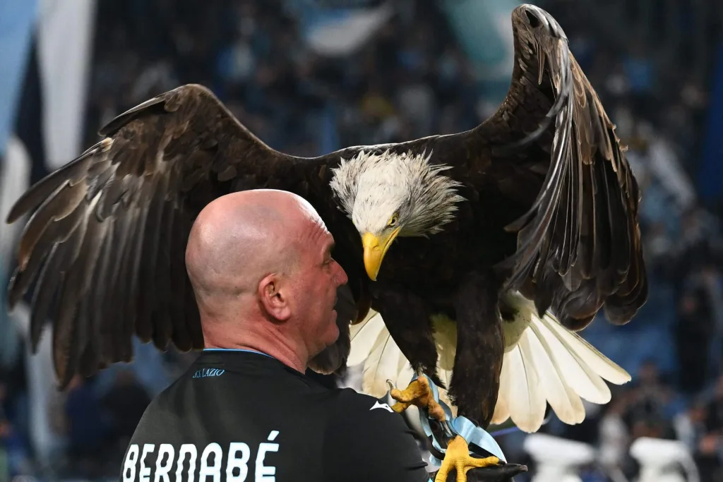 Lazio Sacks Falconer After Prosthetic Penis Photo Controversy Lazio Sacks Falconer, Juan Bernabe After His Prosthetic Penis Photo Sparks Controversy