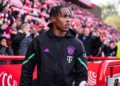 Manchester United Eye Mathys Tel Loan Move if Bayern Munich Forward Becomes Available