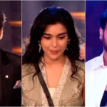 Bigg Boss 18 Top 6 Finalists: Meet the Contestants