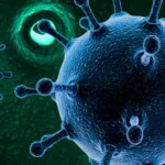 HMPV Virus Cases in China: What You Need to Know?