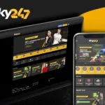 Sky247 – Online Betting Platform in India