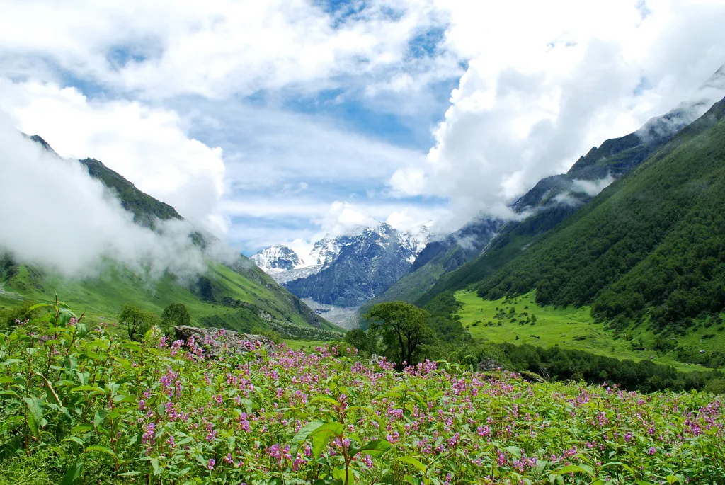 The Valley of Flowers National Park