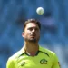 Marcus Stoinis Announces Shock ODI Retirement, Withdraws from Champions Trophy 2025