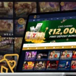 Types of Casino Games at MCW India