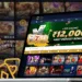Types of Casino Games at MCW India