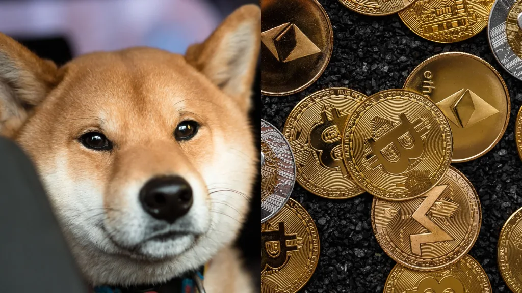 crypy6 2 Crypto Shiba Inu: AI Predictions Unveil Exciting Future for the Meme Coin