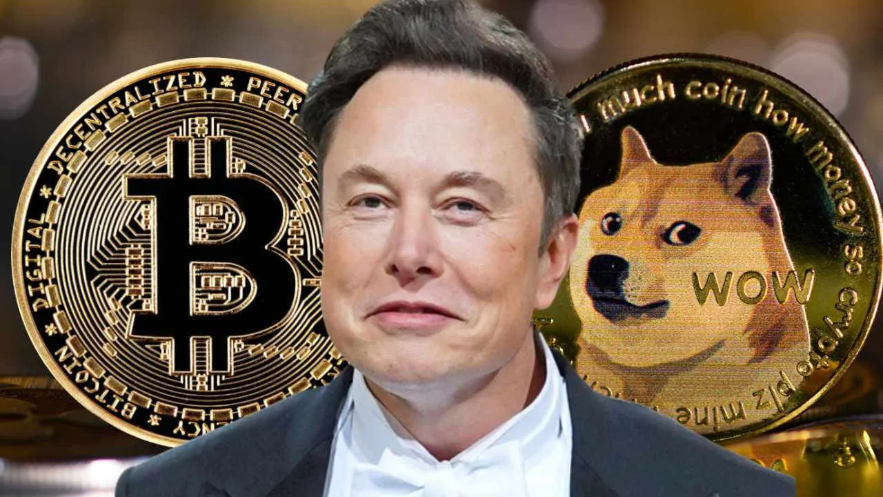 Elon Musk DOGE Shakes Up Global Politics: $21 Million Grant for India Cancelled