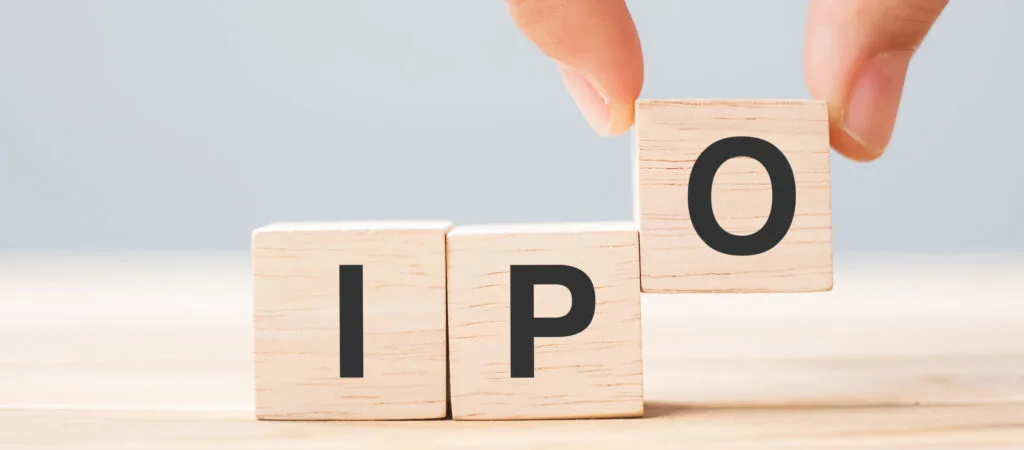 Shreenath Paper Products IPO: Navigating the Waves of Small-Cap Investment