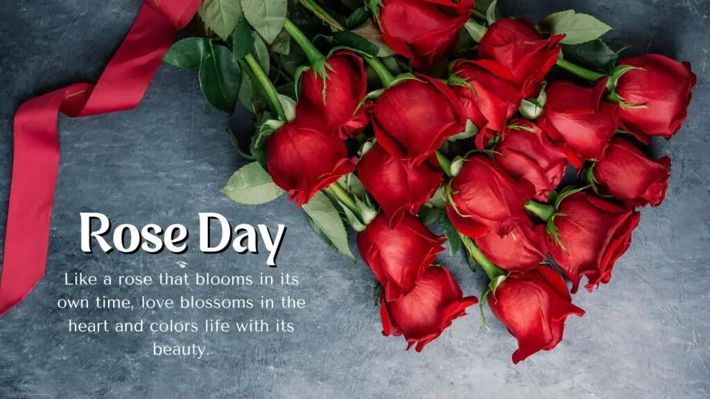 Rose Day