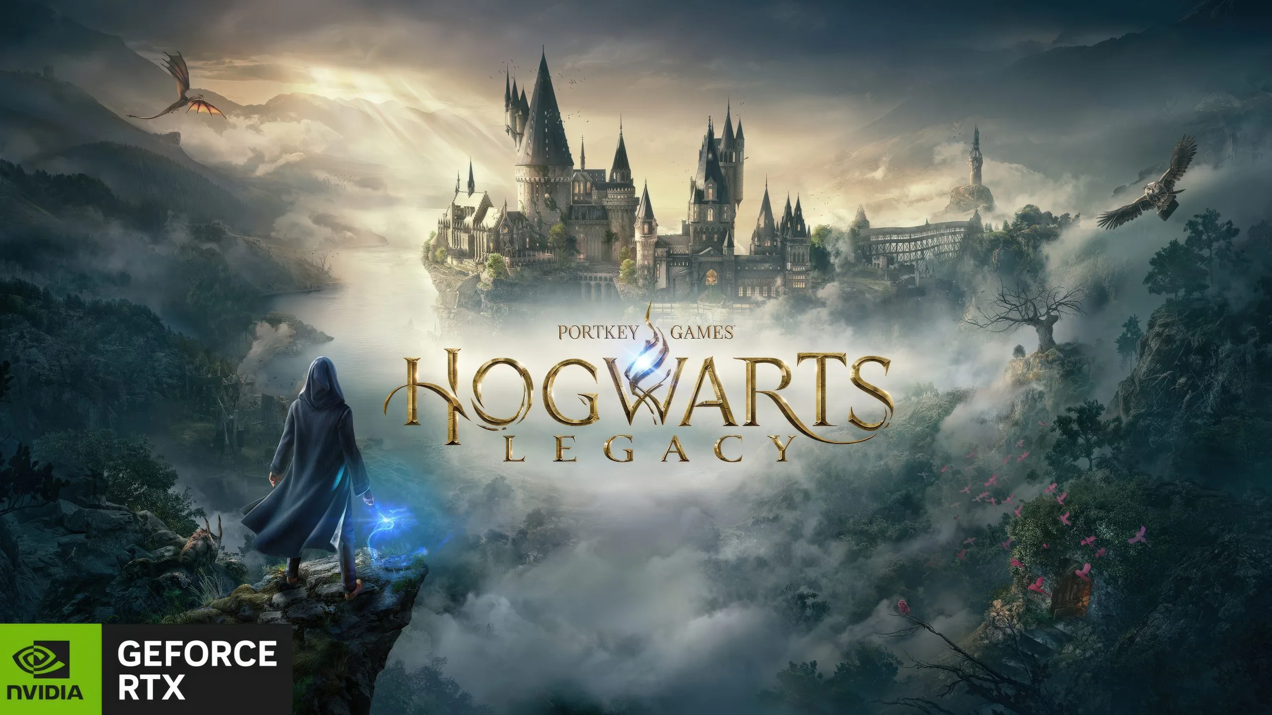 Warner Bros. Cancels Hogwarts Legacy Definitive Edition Before Announcement