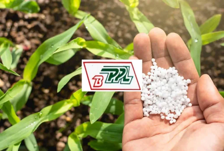 Balaji Phosphates IPO: A Strategic Leap into the Capital Markets