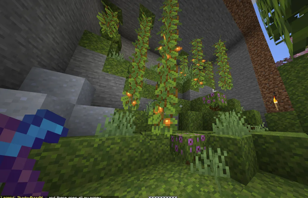 Minecraft