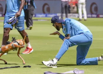 How IPL Embraces Latest Tech to Change the Way the Game is Played and Watched