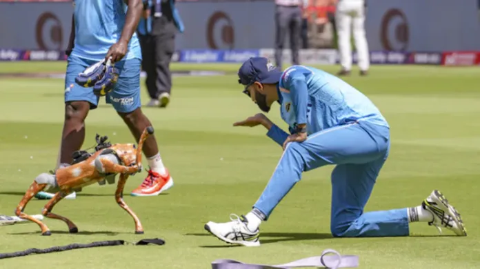 Champak, the RoboDog How IPL Embraces Latest Tech to Change the Way the Game is Played and Watched