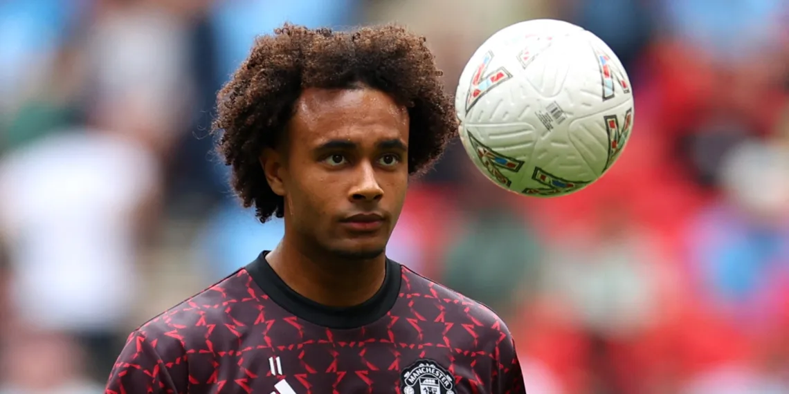 Joshua Zirkzee Blow: Manchester United Star Ruled Out for Season with Hamstring Injury