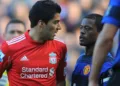 From Old Trafford to the Octagon: Patrice Evra Teases Suarez While Announcing MMA Debut
