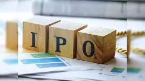 Infonative Solutions IPO