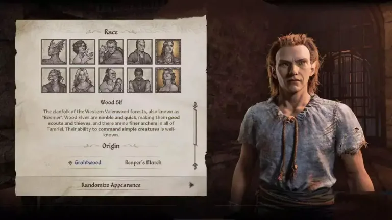 Oblivion Remastered: Master the Art of Invisibility with Chameleon Spells