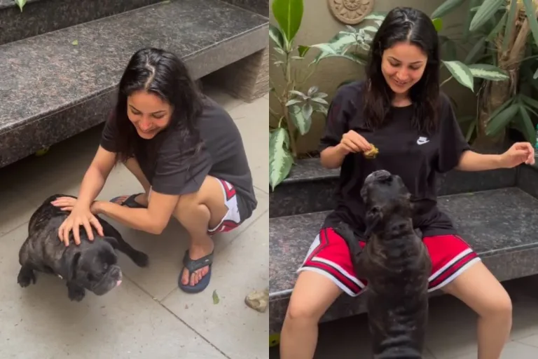 Shehnaaz Gill Paparazzi Charm: Dogs, Dazzling Outfits, and ‘Tuada Kutta Tommy’ Nostalgia!