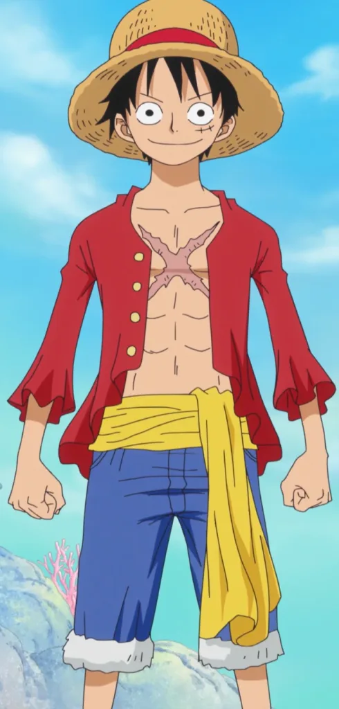 Monkey d. luffy (one piece)